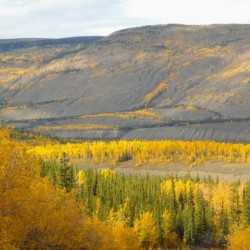 Ross River YT